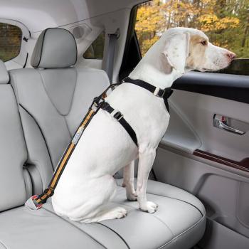 Kurgo Direct to Seatbelt Tether